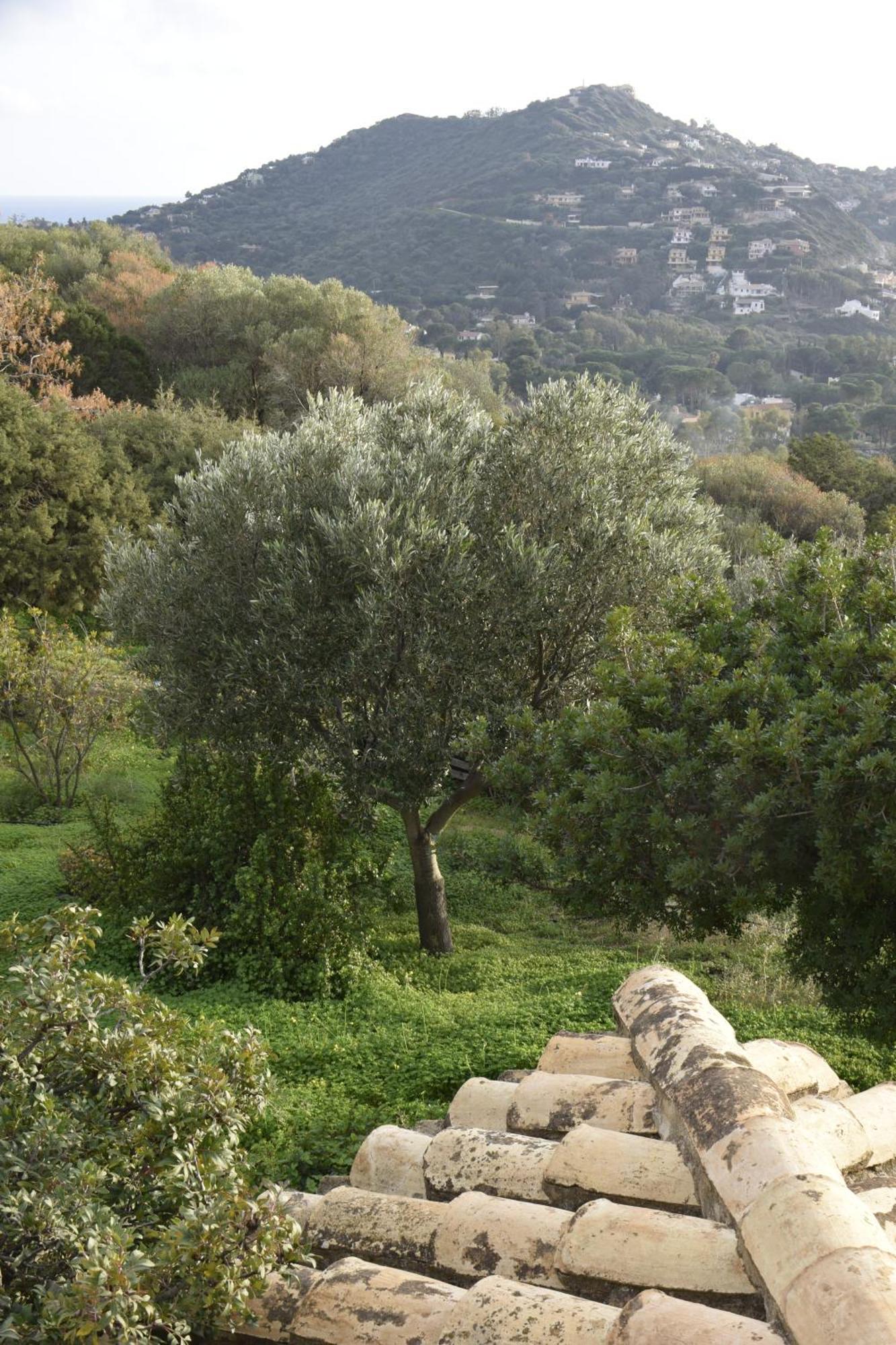 Holiday Home Riccio Di Mare Sardinia Marongiu Bagian luar foto